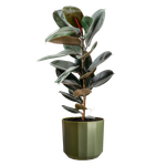 facet rund 26cm wald grün